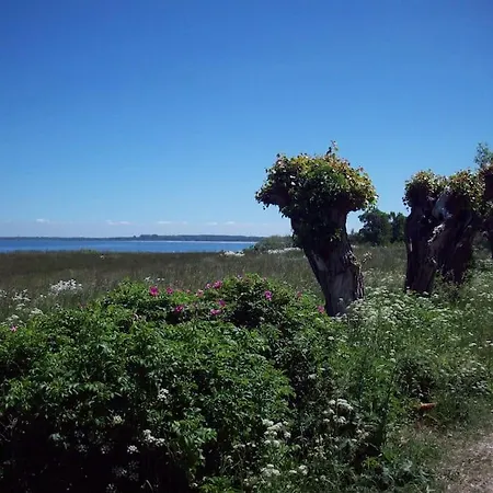 Skipper, Strandnah Mit Whirlpool Lägenhet Boltenhagen (Ostseebad)