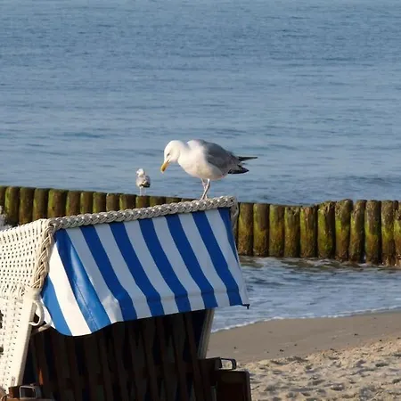 Skipper, Strandnah Mit Whirlpool Apartment Boltenhagen